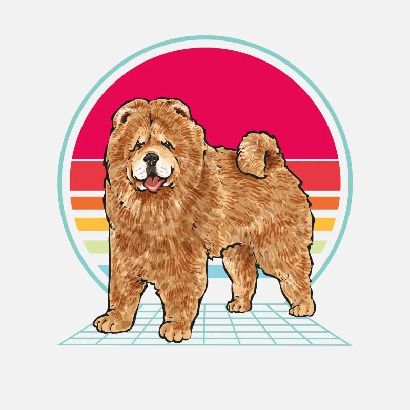 Chow Chow Hund