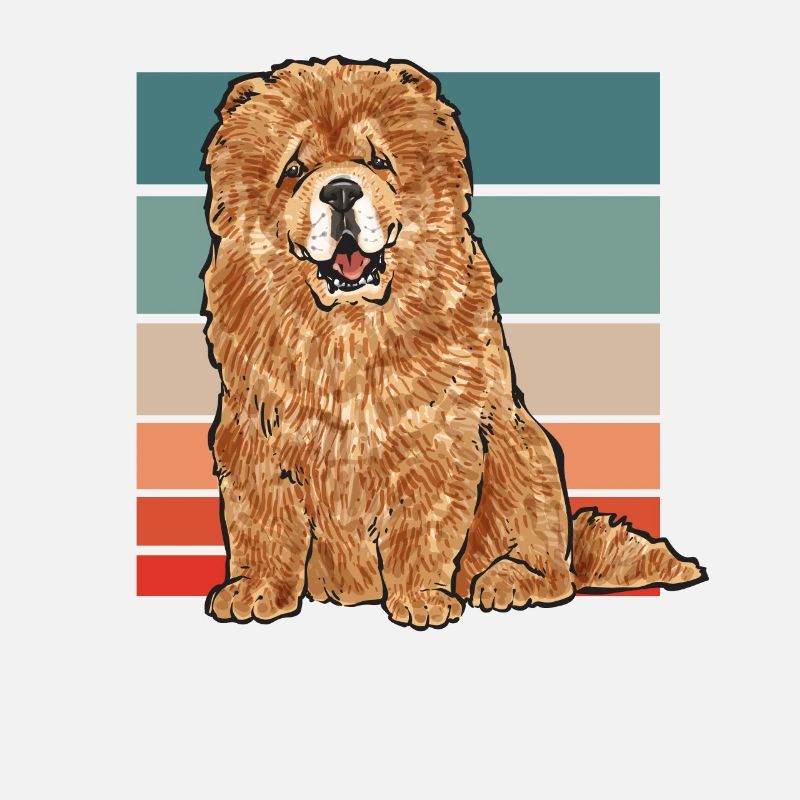 Chow Chow Hund