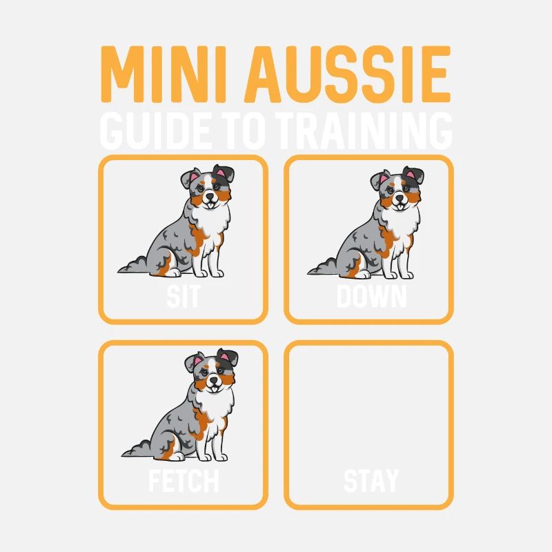 Miniature Australian Shepherd