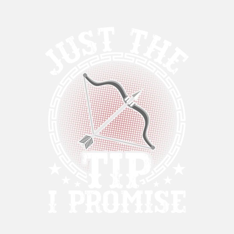 Just The Tip I Promise Bow & Arrows Target Archery
