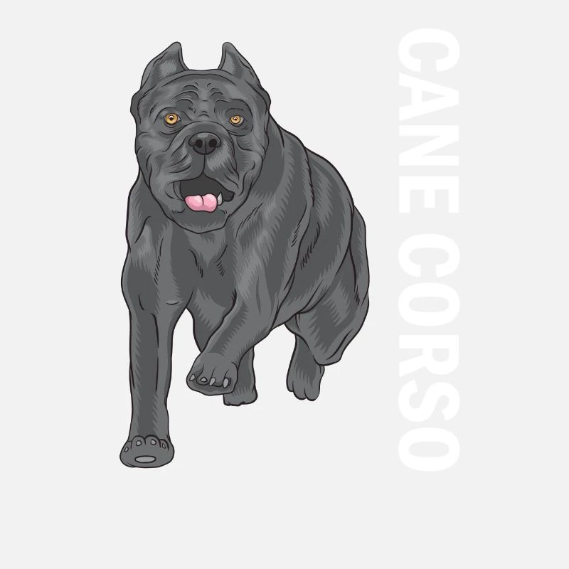 Cane corso