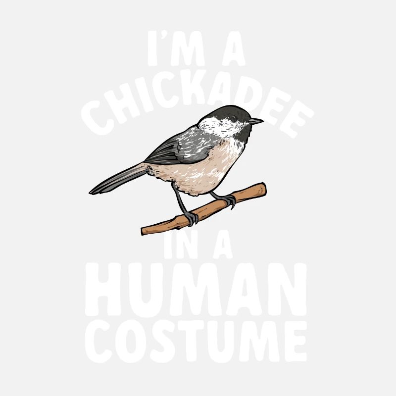 Meise Vogel Chickadee Vogelbeobachtung