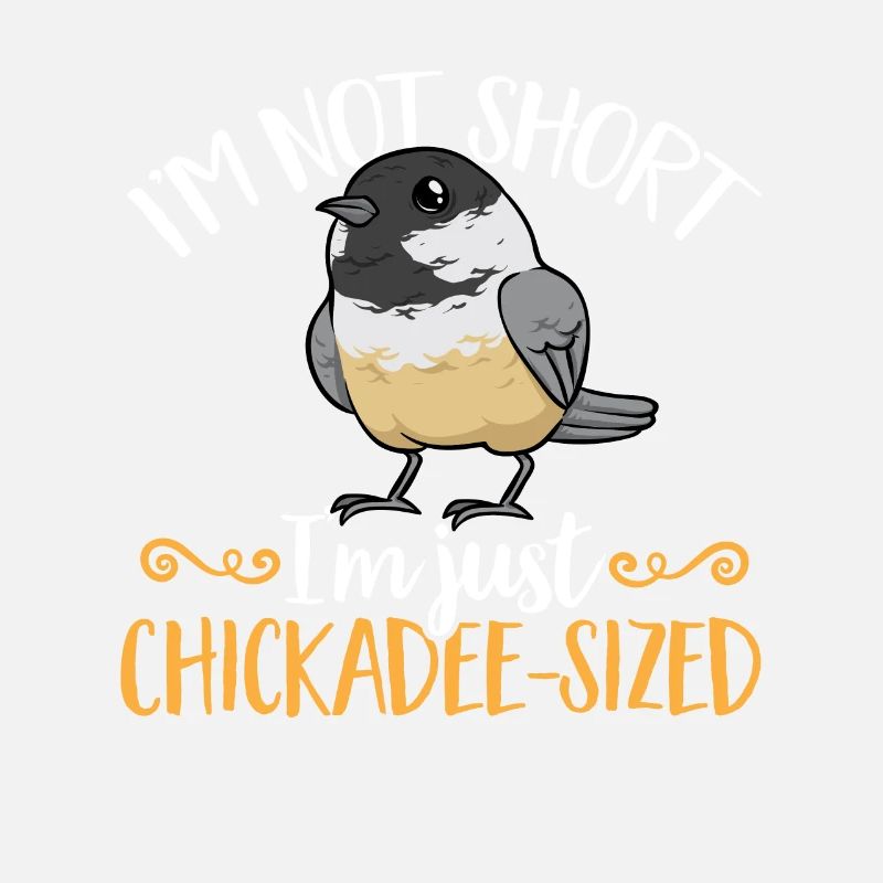 Meise Vogel Chickadee Vogelbeobachtung