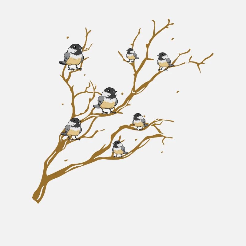 Meise Vogel Chickadee Vogelbeobachtung