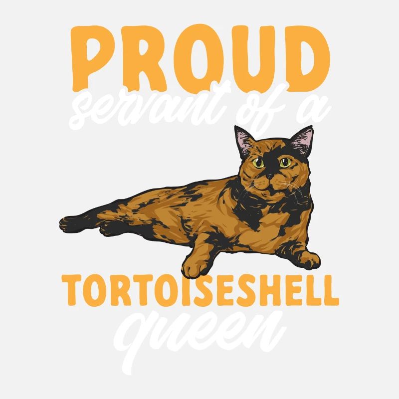 Tortoise Shell Cat Tortoiseshell Cat Tortie