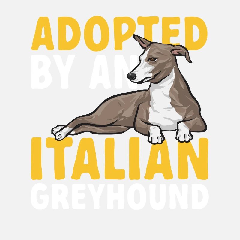 Lévrier italien Greyhound Chiens