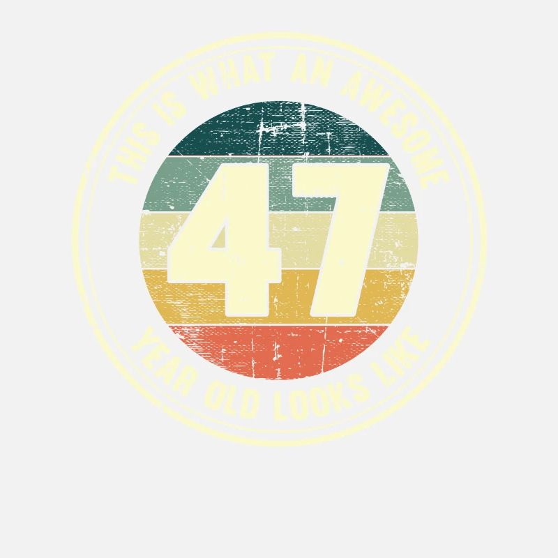 47. Geburtstag so sieht man mit 47 Retro Geschenk