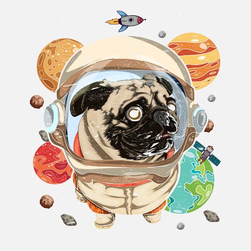 Galaxy Astronaut Dogs Gift Space Pug