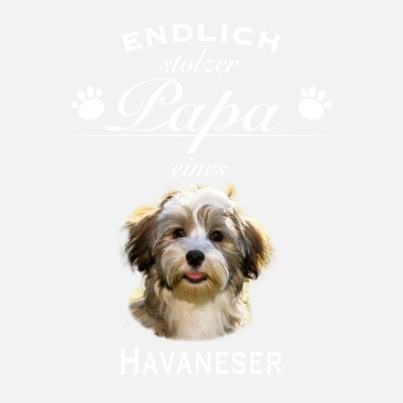 Endlich stolzer Papa - Havaneser