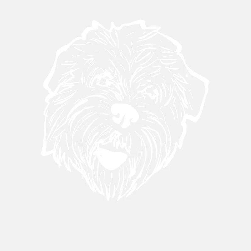 Irish Soft Coated Wheaten Terrier