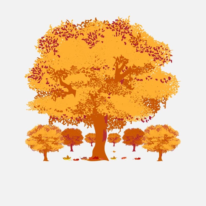 Nature Forêt Feuillage Feuillage Feuilles Cadeau Automne
