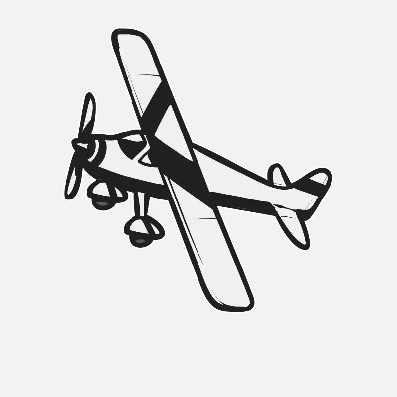 Remote Controlled Airplane Model Airplane