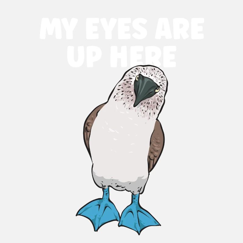 Blaufußtölpel Blue-footed Booby Seevogel