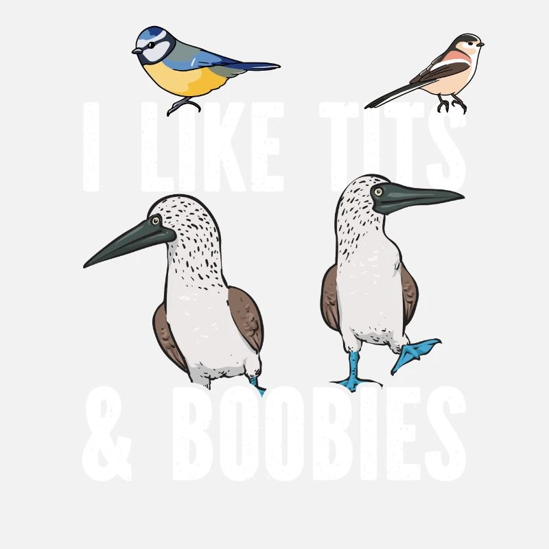 Blaufußtölpel Blue-footed Booby Seevogel