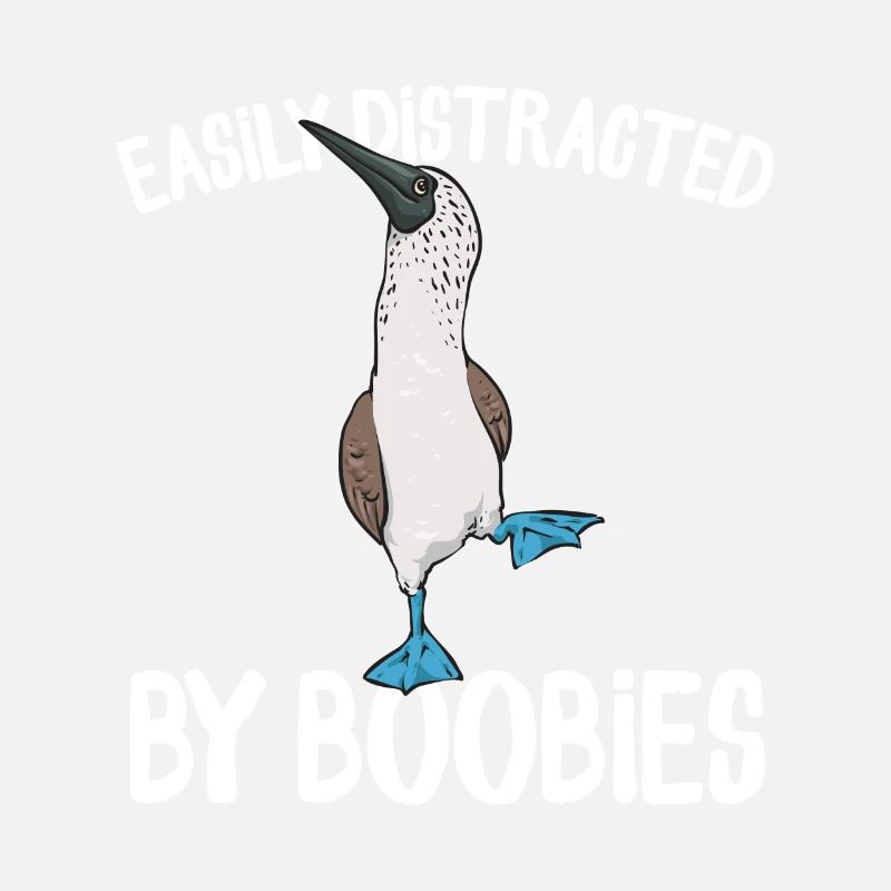 Blaufußtölpel Blue-footed Booby Seevogel