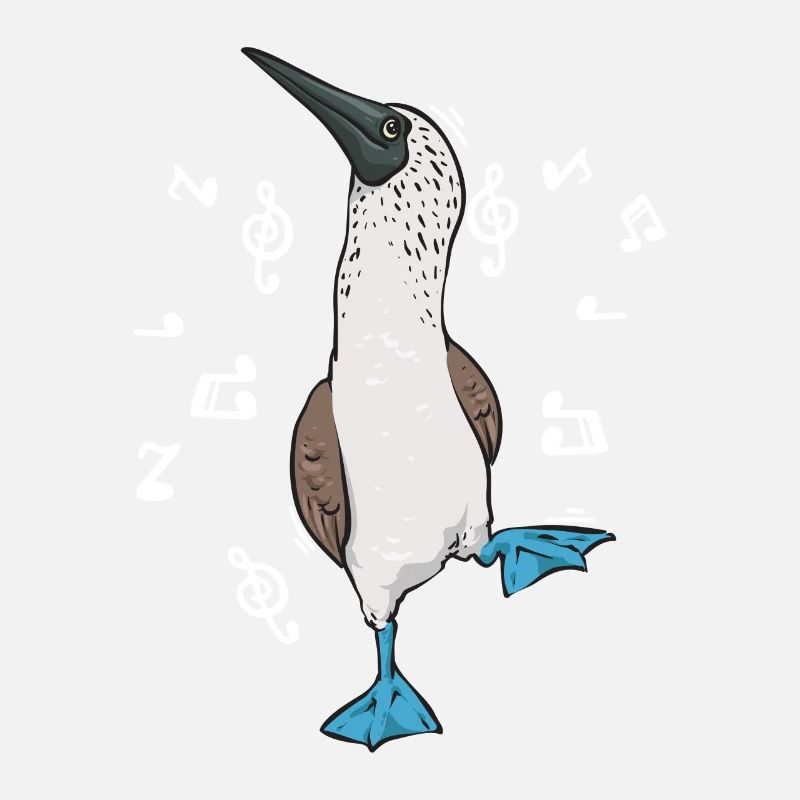 Blaufußtölpel Blue-footed Booby Seevogel