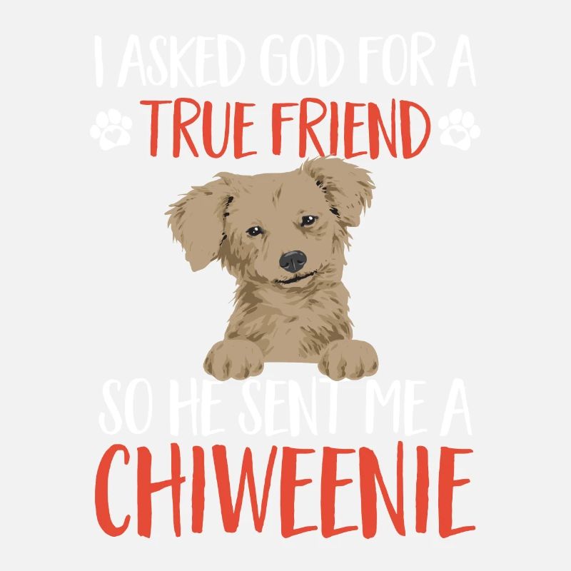 Chiweenie Dog