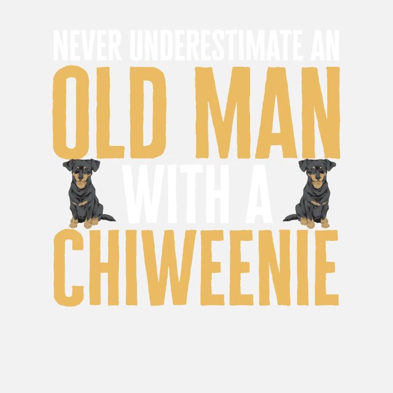 Chiweenie Dog