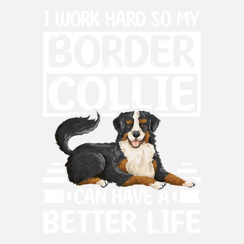 work hard border collie can have a better life
