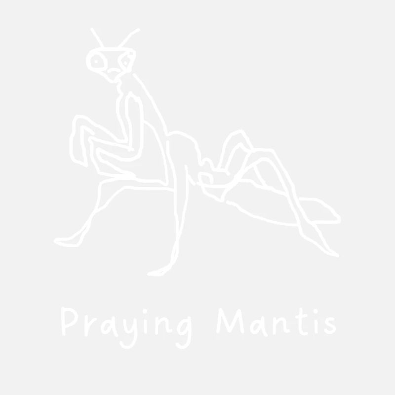 Mantis
