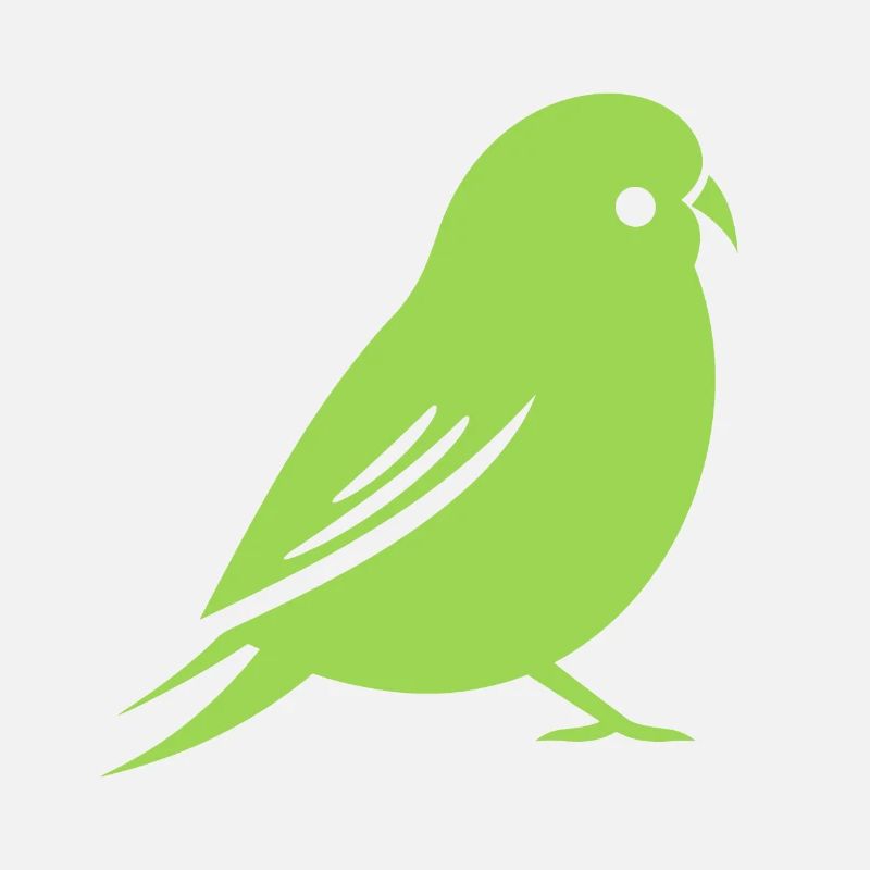 Cute little parakeet