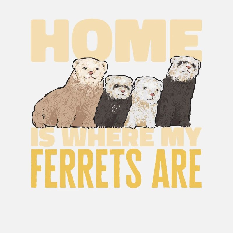 Furet, propriétaire de furet
