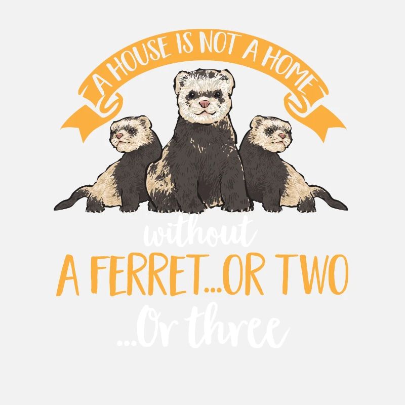 Furet, propriétaire de furet