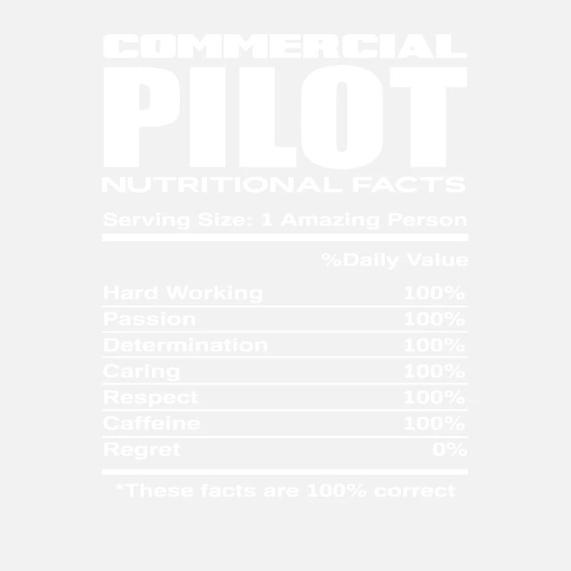 Kommerzieller Pilot Piloten Beruf