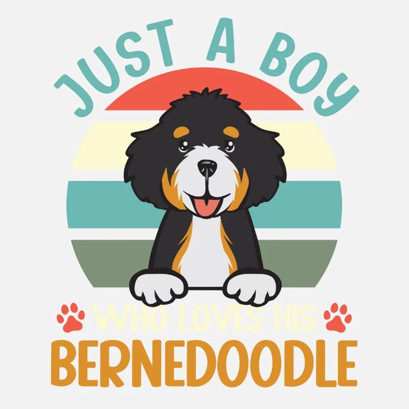 Bernedoodle Hund
