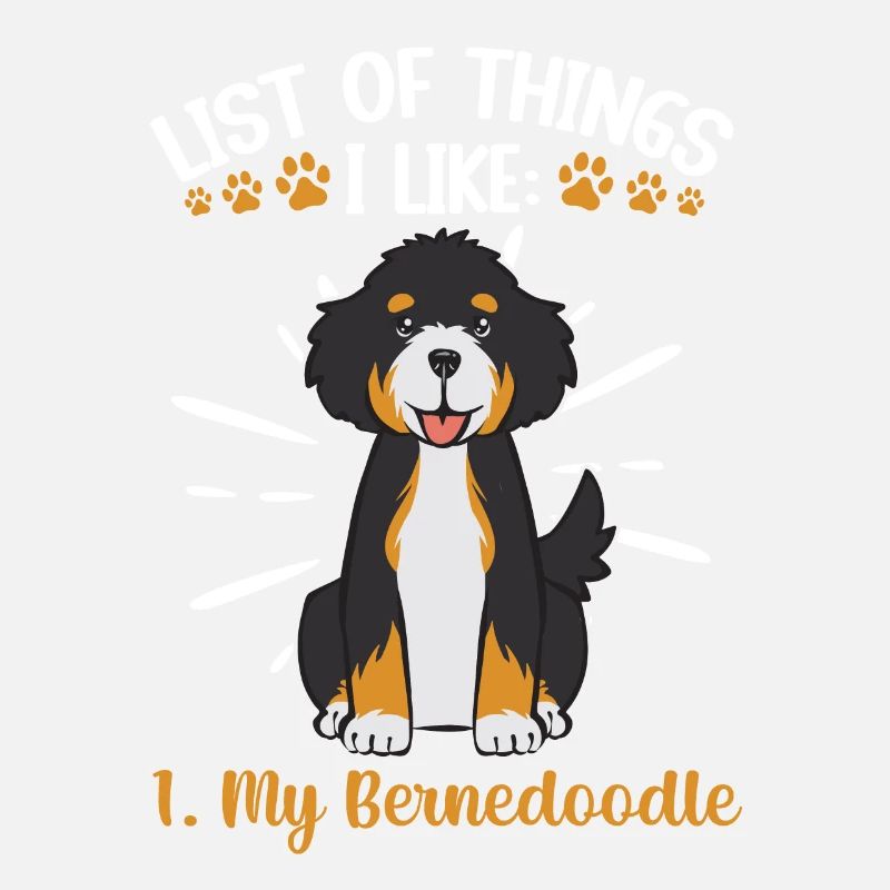 Bernedoodle Hund
