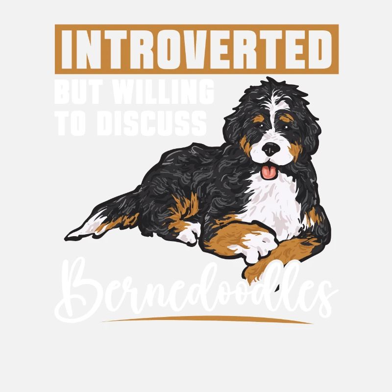 Bernedoodle Hund