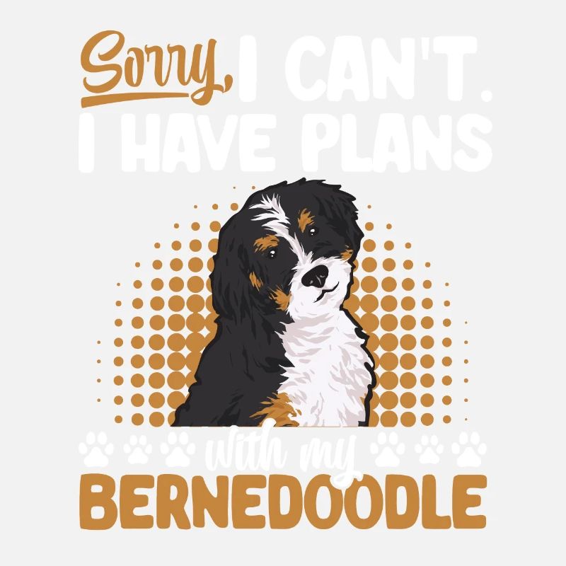 Bernedoodle Hund