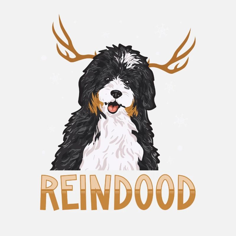Bernedoodle Hund