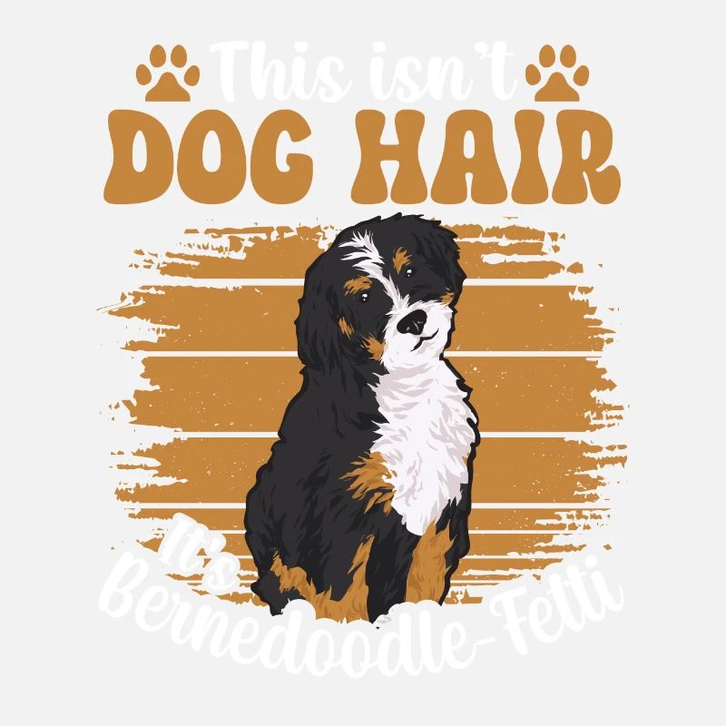 Bernedoodle Hund