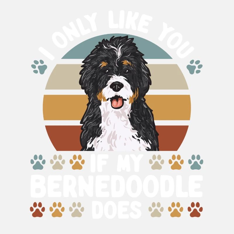 Bernedoodle Hund