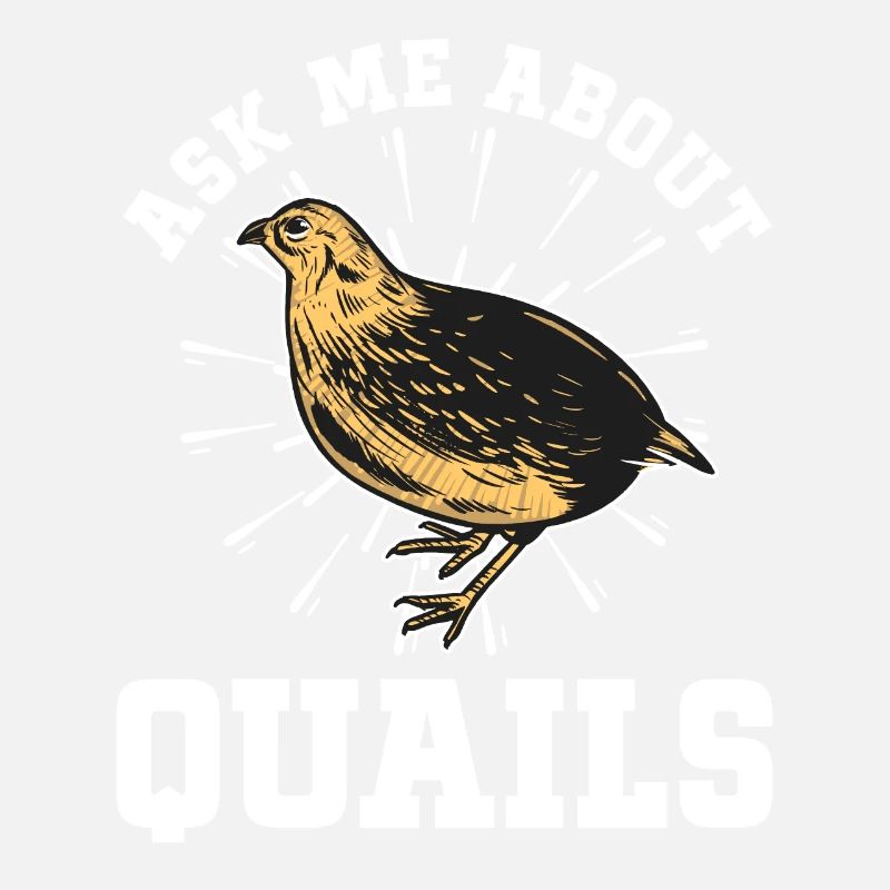 Oiseau de caille