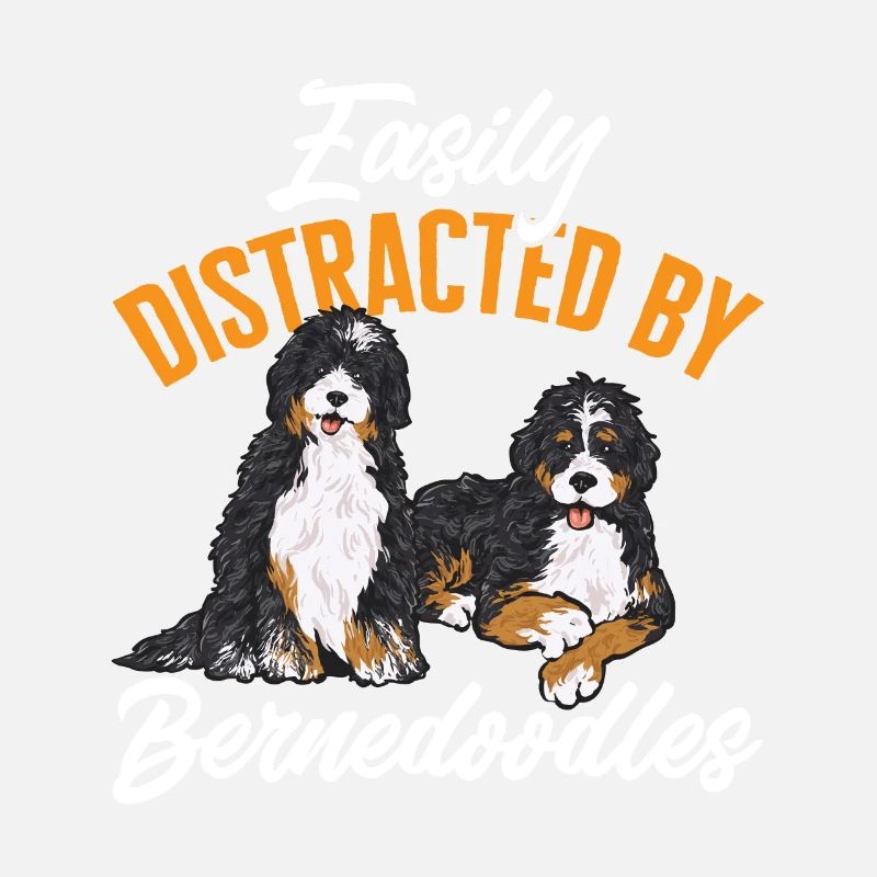 Bernedoodle Hund