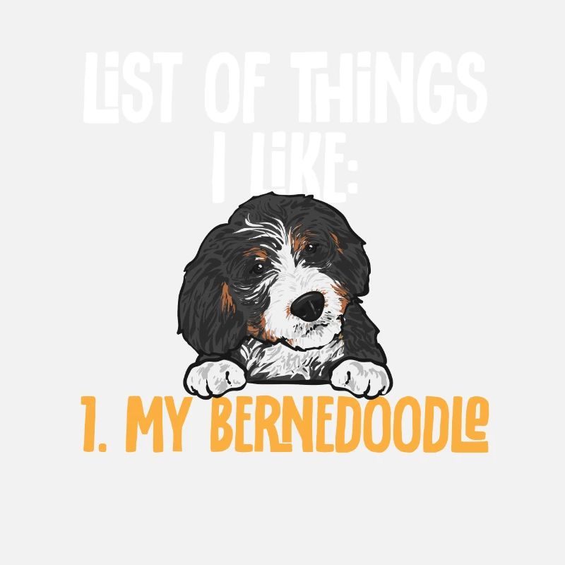 Bernedoodle Hund