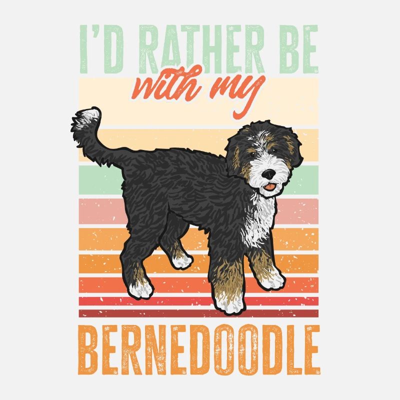 Bernedoodle Hund
