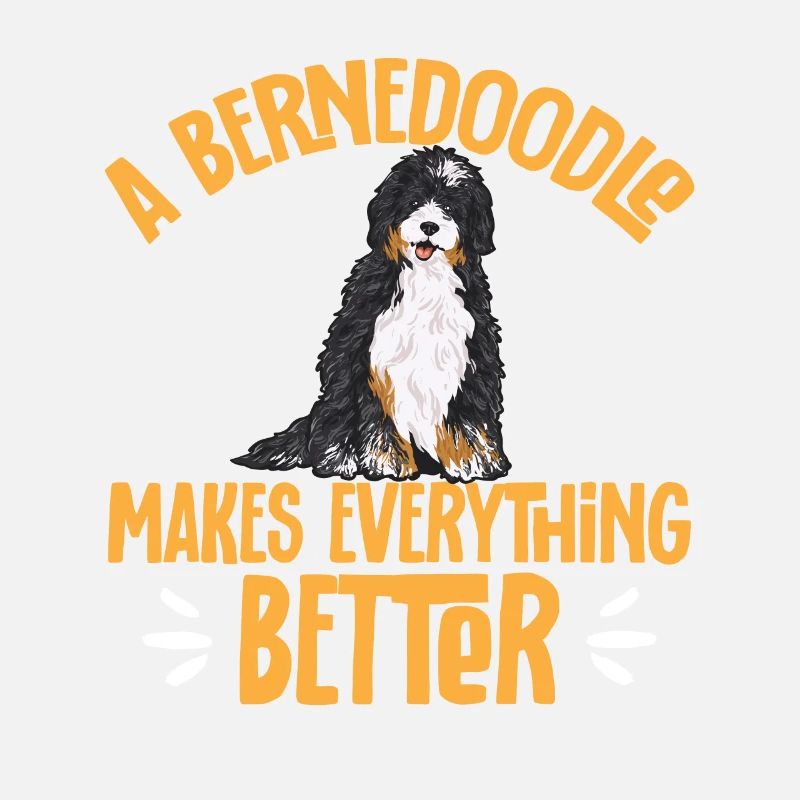 Bernedoodle Hund