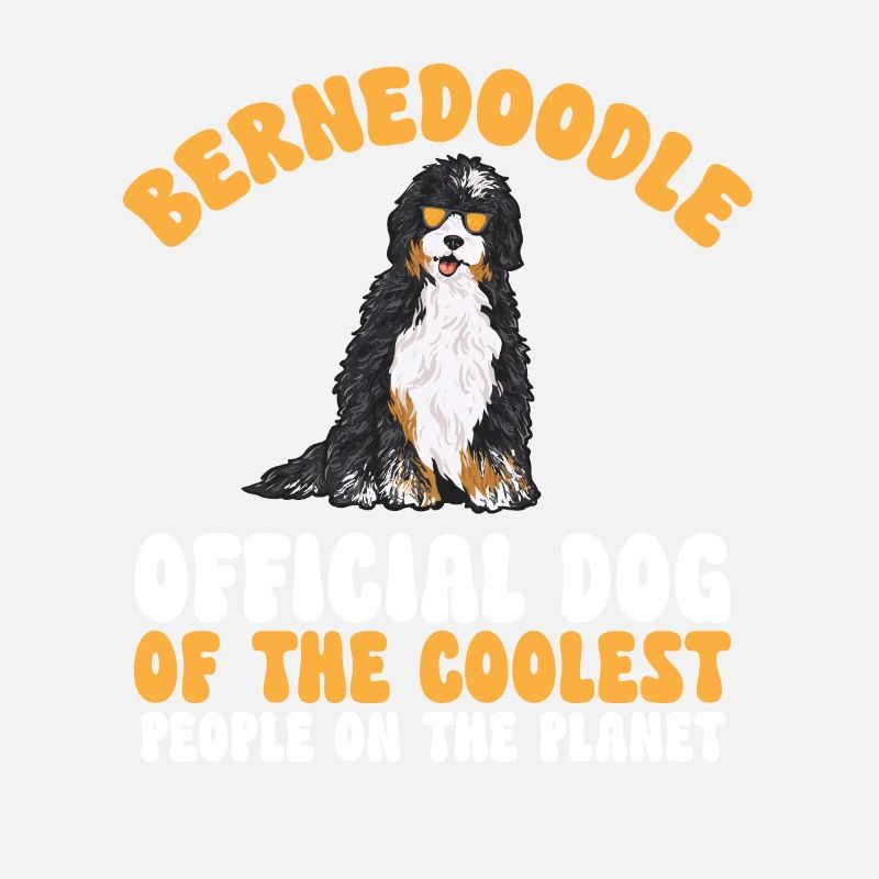 Bernedoodle Hund