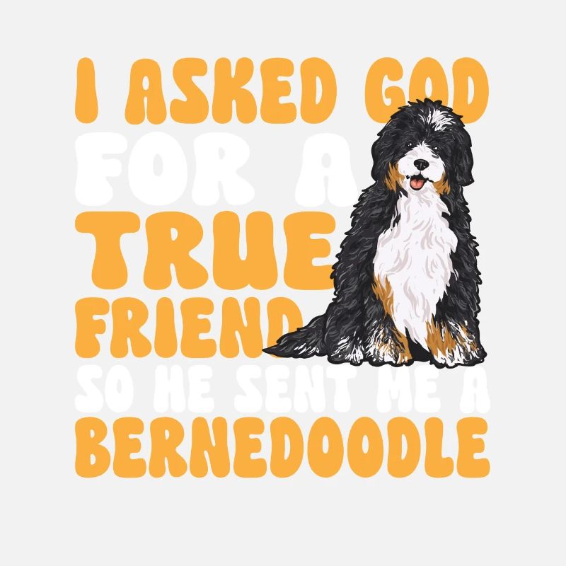 Bernedoodle Hund