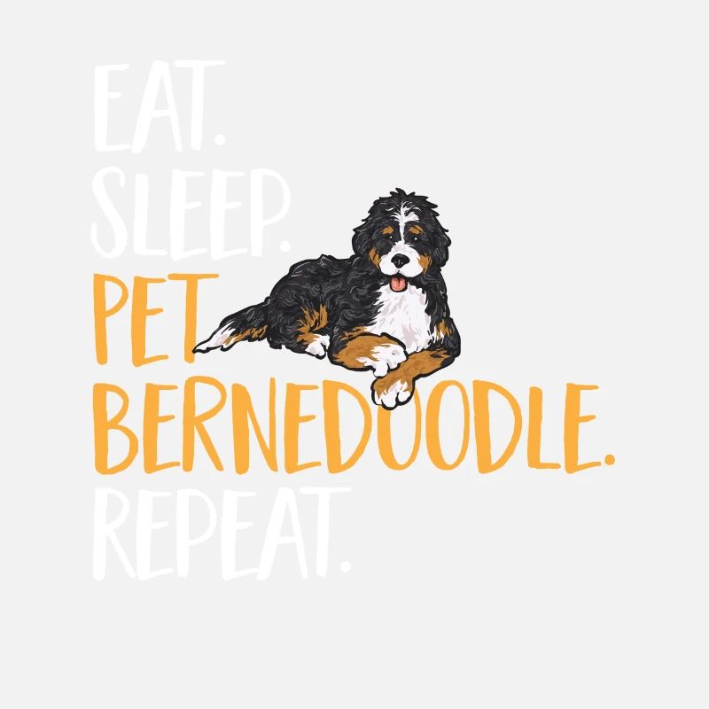 Bernedoodle Hund
