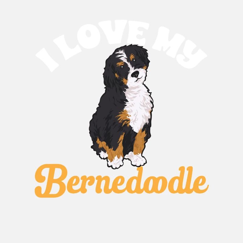 Bernedoodle Hund
