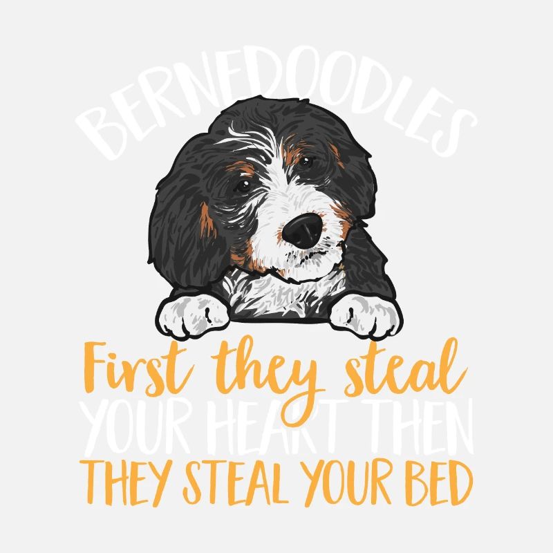 Bernedoodle Hund