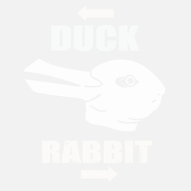 Wittgensteins Rabbit Duck Illusion