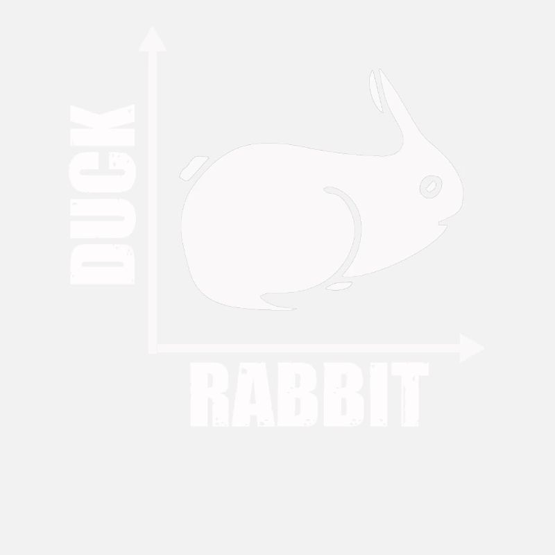 Wittgensteins Rabbit Duck Illusion