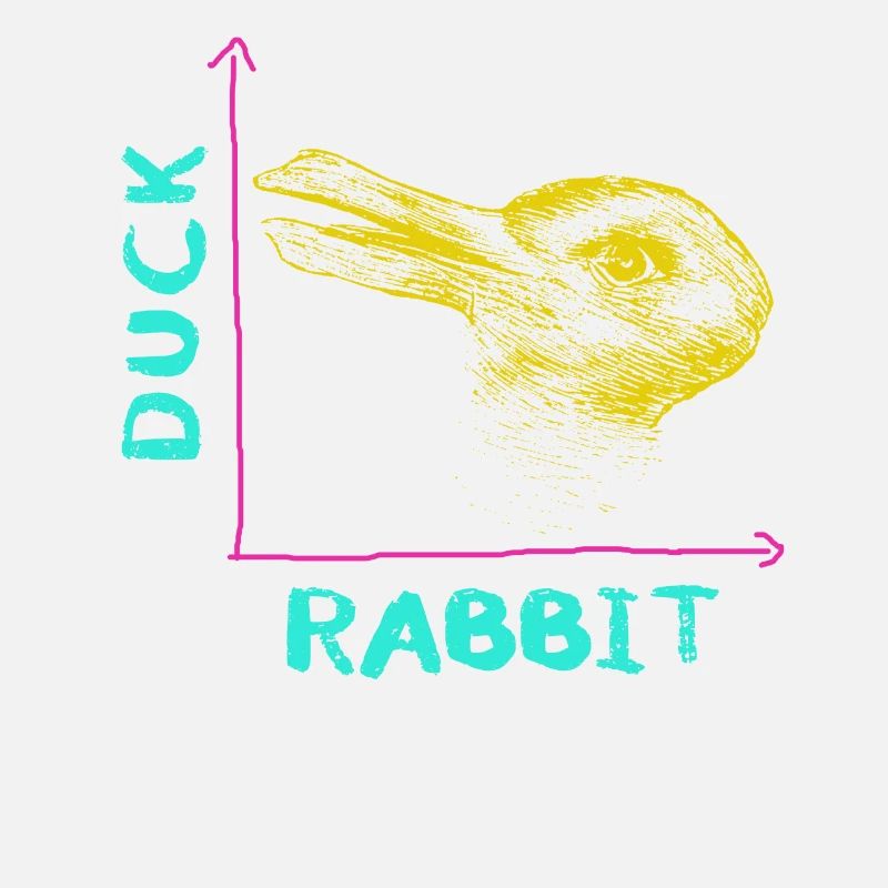 Wittgenstein lapin canard illusion