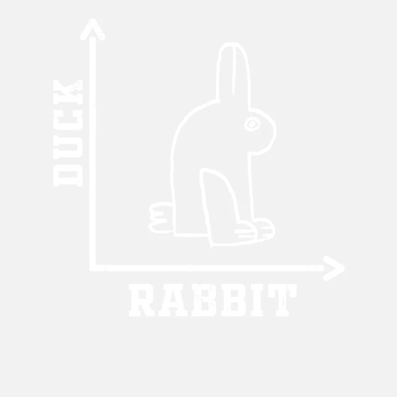 Wittgensteins Rabbit Duck Illusion