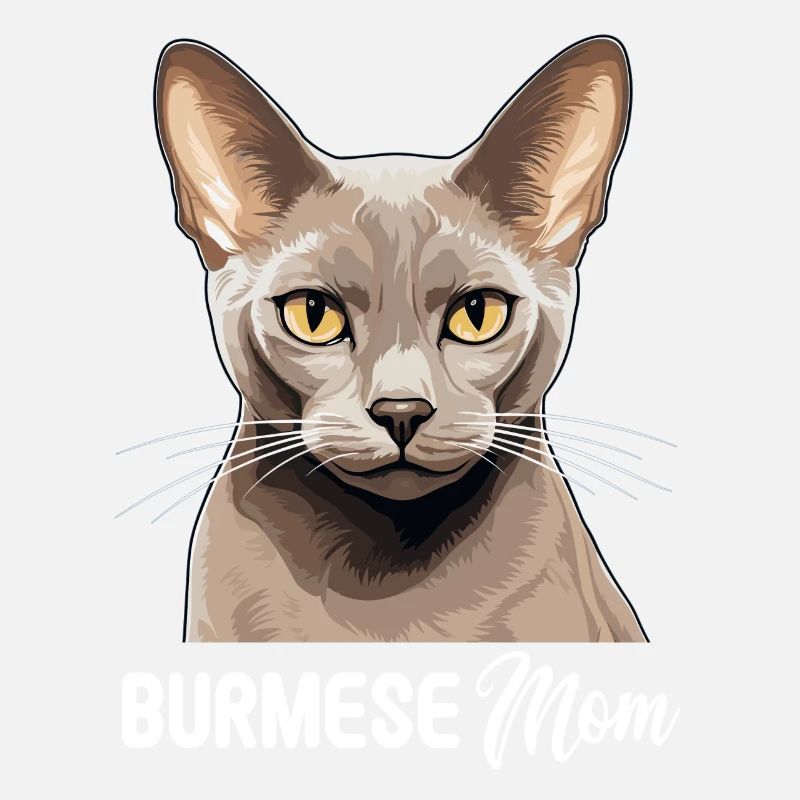 Chat birman Birmanie Katze